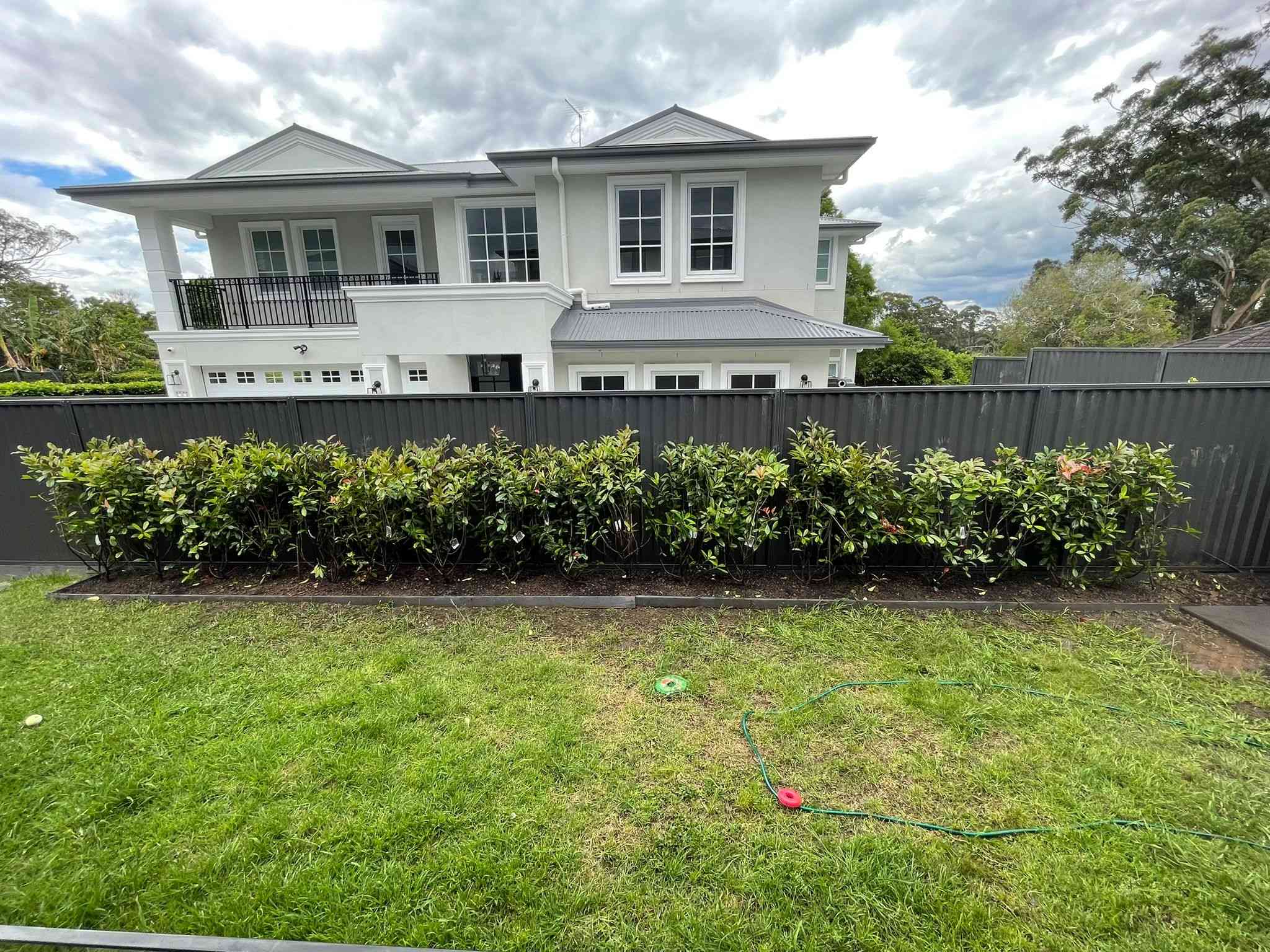 Garden Bed Replaced With Photinia
